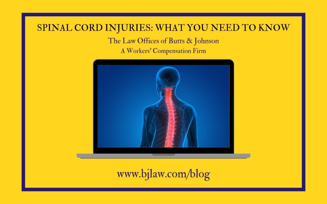 Spinal Cord Injuries: What You Need To Know